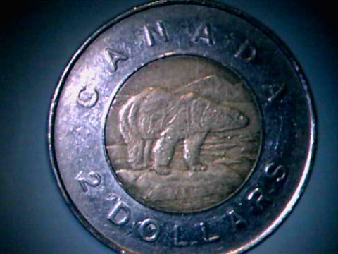1996-Toonie-Clip-Or-Chip?