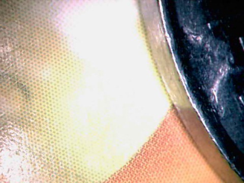 1996-Toonie-Clip-Or-Chip?