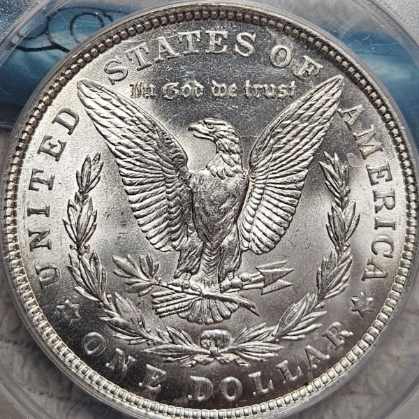 28-Days-Of-The-Morgan-Dollars-Part-5