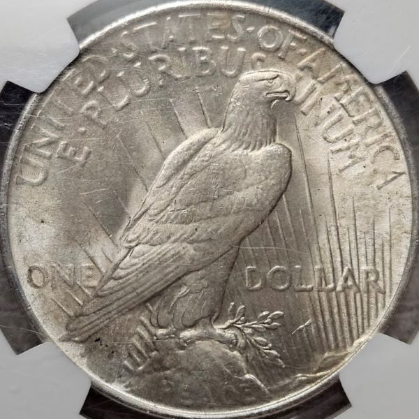 10-Days-Of-Peace-Dollars!