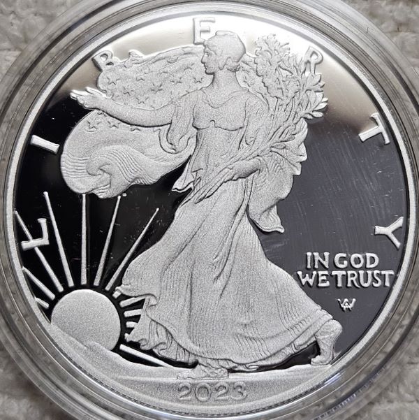 Dearborn's-American-Eagle-Coin-Collection.