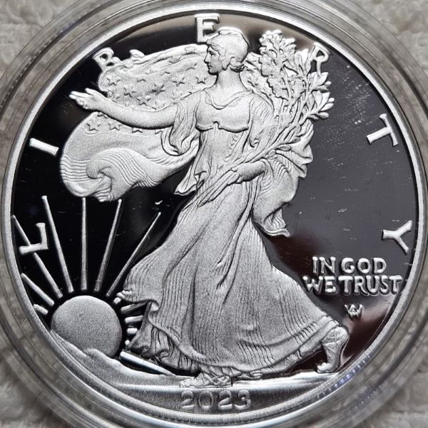 Dearborn's-American-Eagle-Coin-Collection.