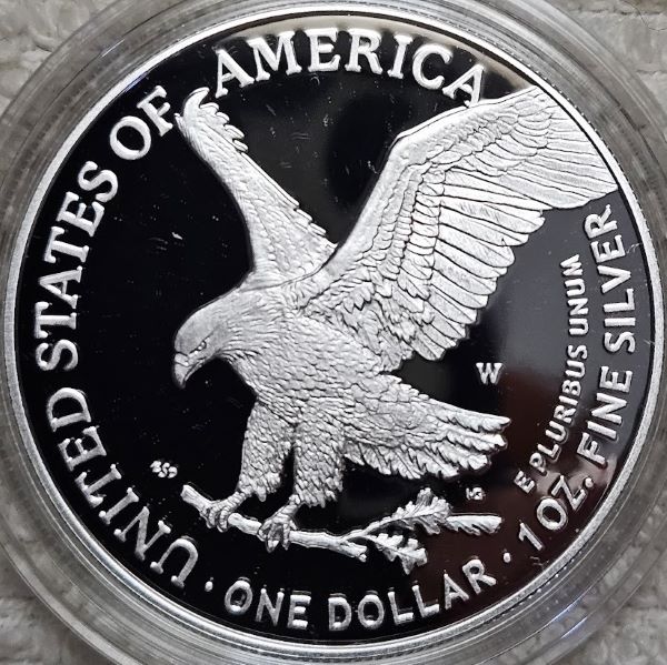 Dearborn's-American-Eagle-Coin-Collection.