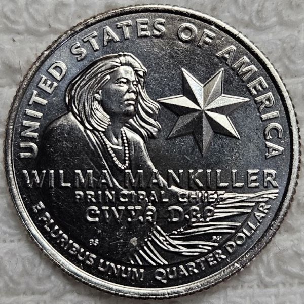 Dearborn's-Completed-Washington-Quarter-Dansco-Collection