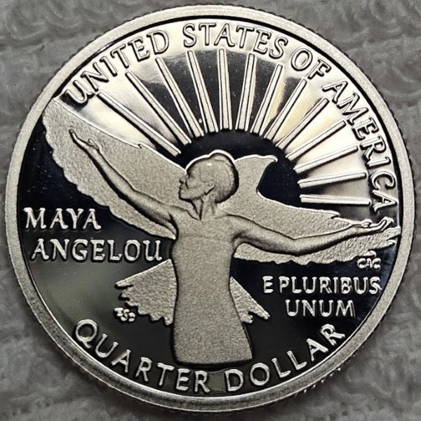 Dearborn's-Completed-Washington-Quarter-Dansco-Collection