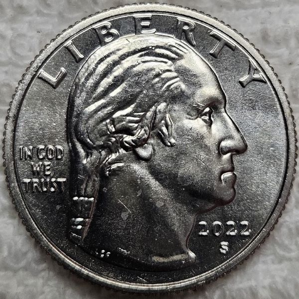 Dearborn's-Completed-Washington-Quarter-Dansco-Collection
