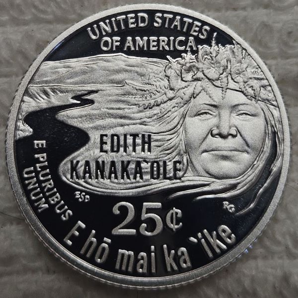 Dearborn's-Completed-Washington-Quarter-Dansco-Collection