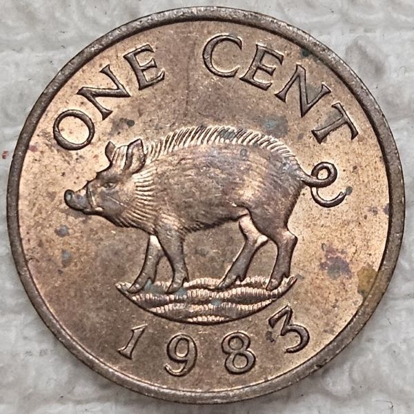 Post-Your-Coins-Representing-The-Animal-Kingdom.