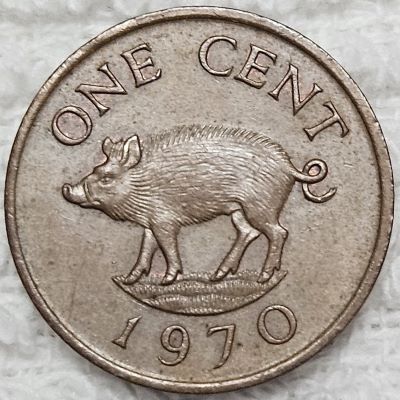 Continuing-List-To-Show-Everyones-Latest-Acquisitions