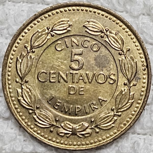 Show-Your-Coins-With-Fruit.