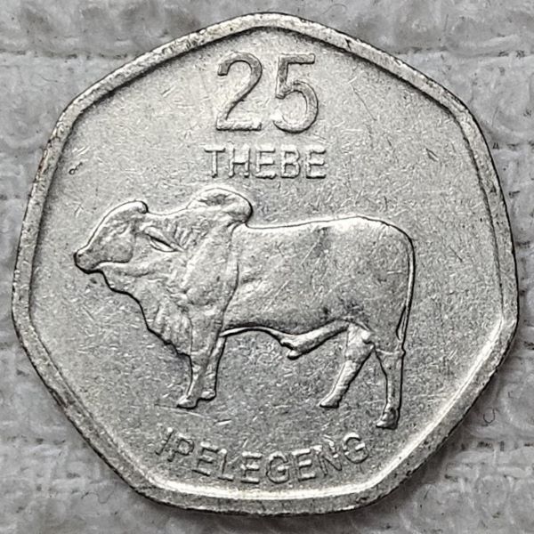 Show-Your-Coins-With-Different-Edges