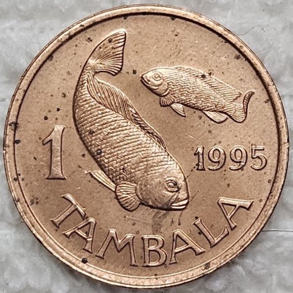 Post-A-Picture-Of-A-Coin-Depicting-A-Dragon!