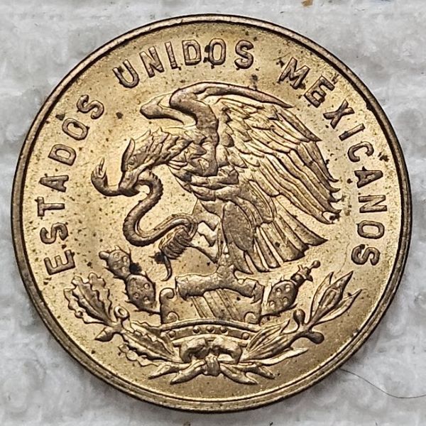 Dearborn's-World-Coin-Collection