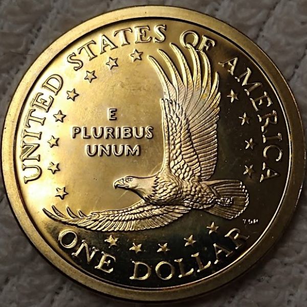 Dearborn's-Sacagawea-Native-American-Small-Golden-Dollar-Collection