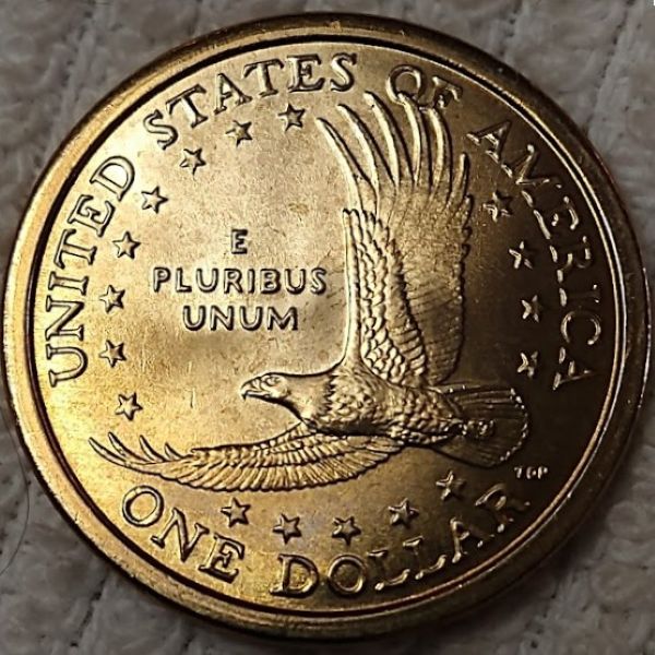 Dearborn's-Sacagawea-Native-American-Small-Golden-Dollar-Collection