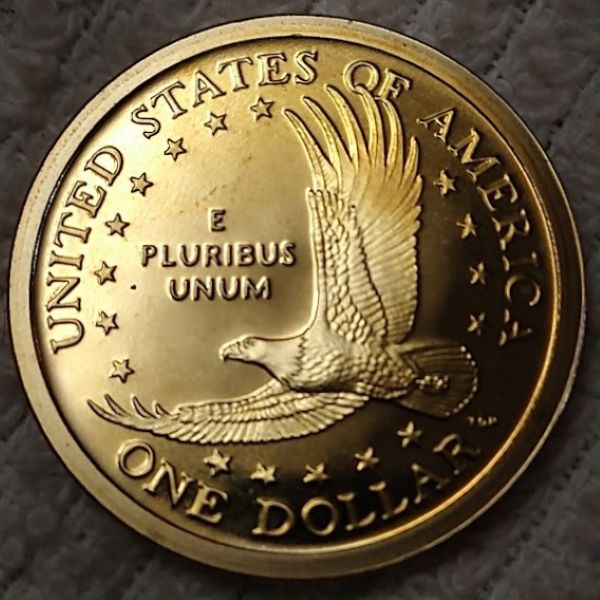 Dearborn's-Sacagawea-Native-American-Small-Golden-Dollar-Collection