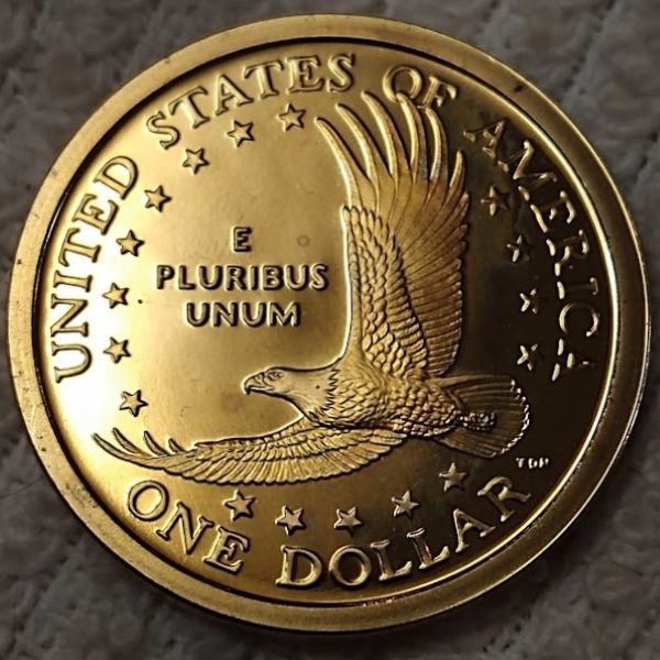 Dearborn's-Sacagawea-Native-American-Small-Golden-Dollar-Collection