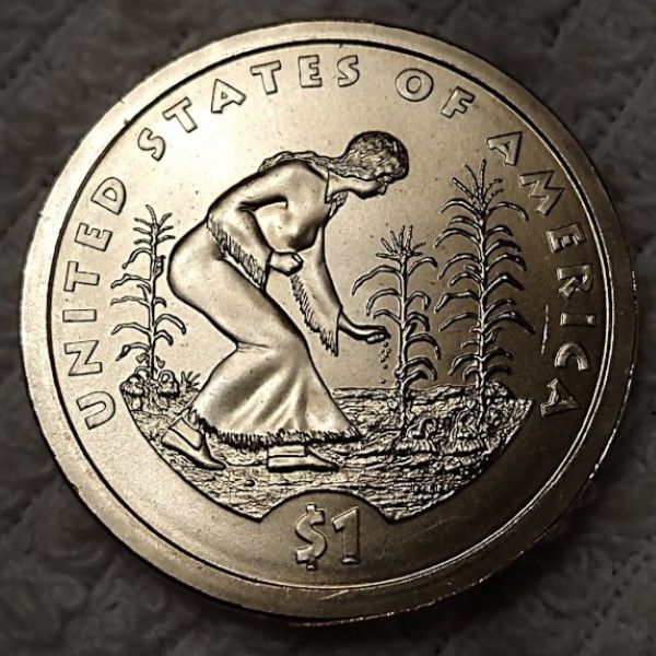Dearborn's-Sacagawea-Native-American-Small-Golden-Dollar-Collection