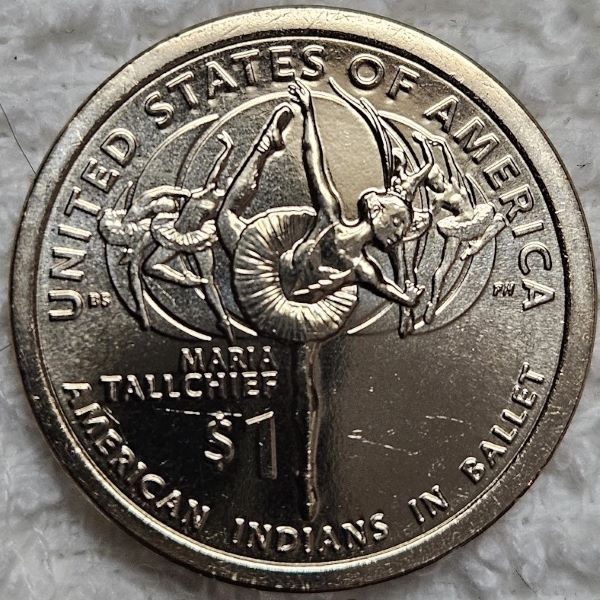 Dearborn's-Sacagawea-Native-American-Small-Golden-Dollar-Collection