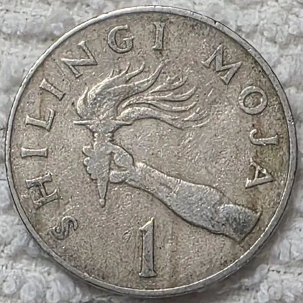 Continuing-List-To-Show-Everyones-Latest-Acquisitions