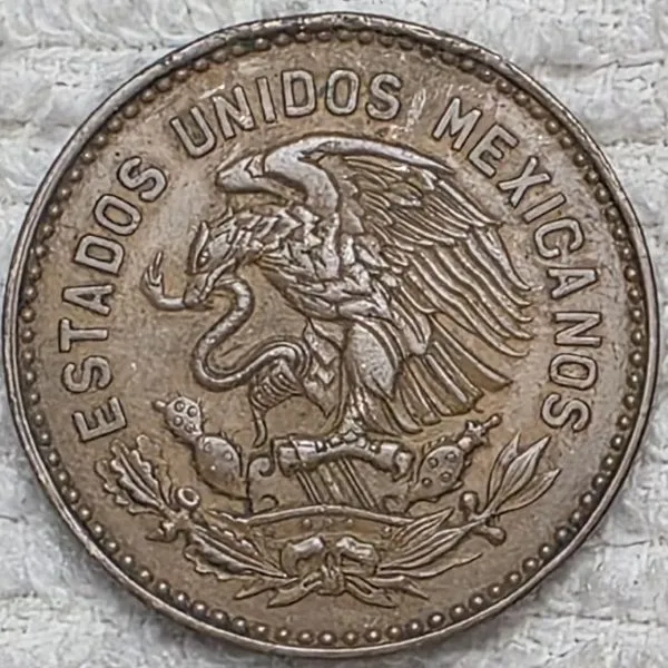 Post-Your-Coin-Or-Medal-With-Flora