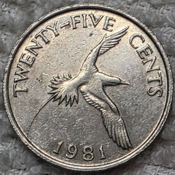 Continuing-List-To-Show-Everyones-Latest-Acquisitions