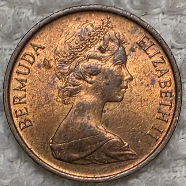 Continuing-List-To-Show-Everyones-Latest-Acquisitions