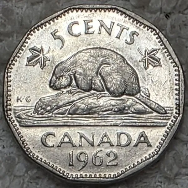 Continuing-List-To-Show-Everyones-Latest-Acquisitions