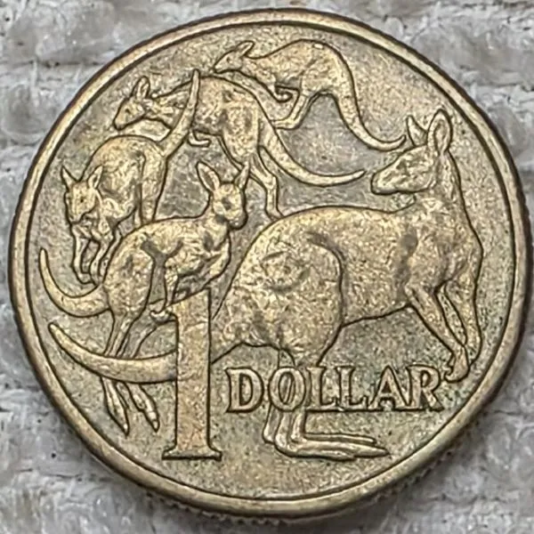 Continuing-List-To-Show-Everyones-Latest-Acquisitions