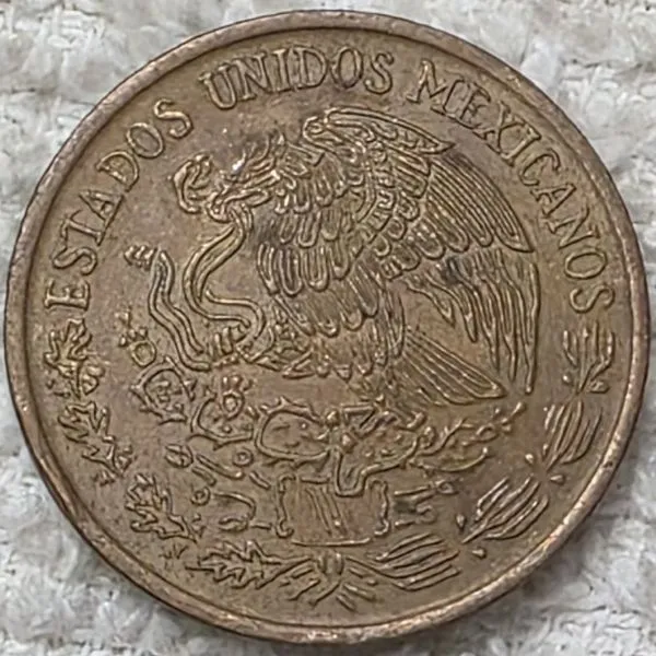 Show-Your-Coins-With-Fruit.