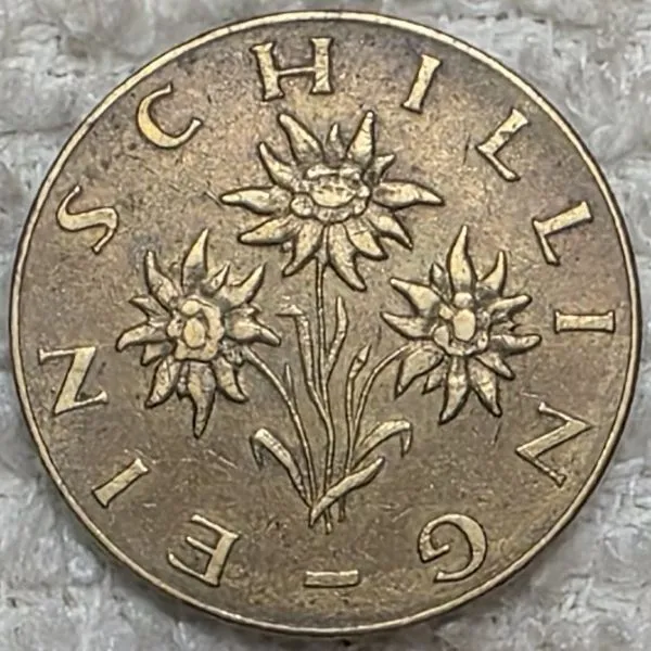 Continuing-List-To-Show-Everyones-Latest-Acquisitions