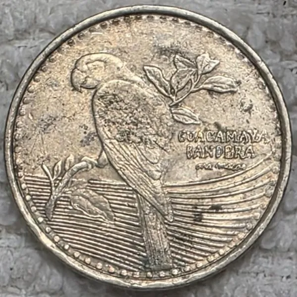 Continuing-List-To-Show-Everyones-Latest-Acquisitions