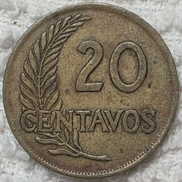 Show-Your-Coins-With-Fruit.