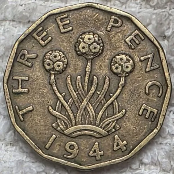 Show-Your-Coins-With-Different-Edges