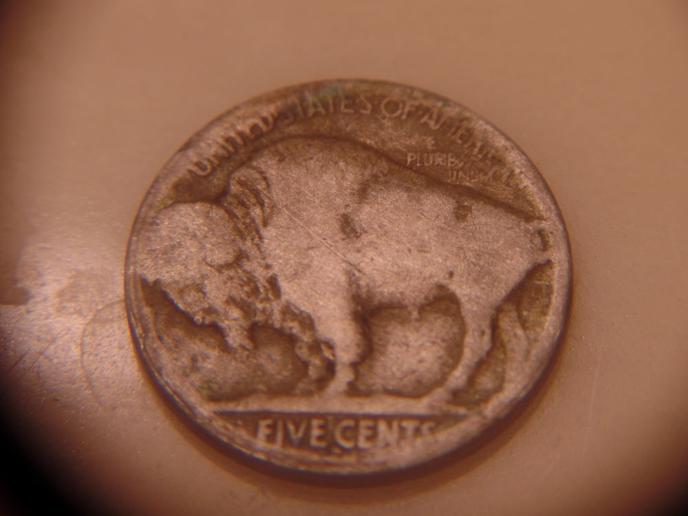Great-Finds-From-Giving-Some-Buffalo-Nickels-An-Acid-Bath.