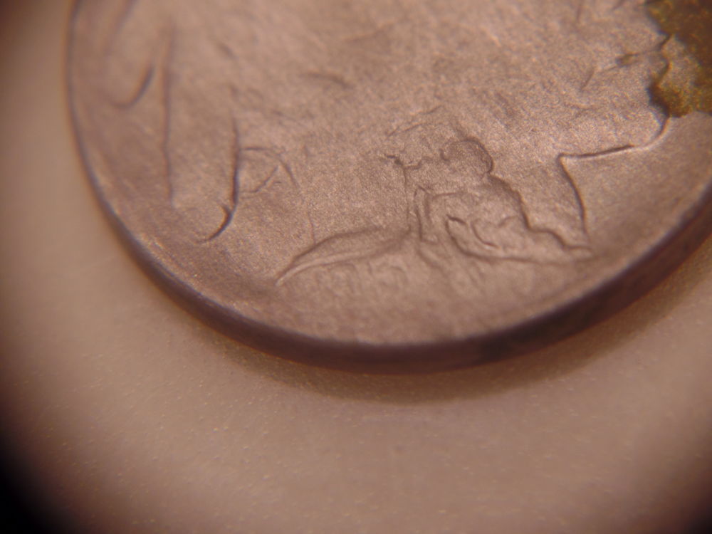 Great-Finds-From-Giving-Some-Buffalo-Nickels-An-Acid-Bath.