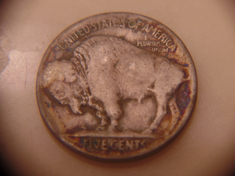 Great-Finds-From-Giving-Some-Buffalo-Nickels-An-Acid-Bath.