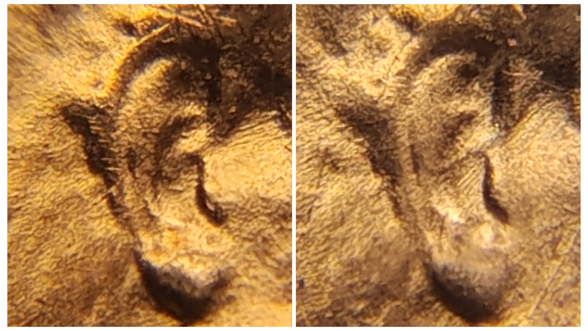 1958-D-Lincoln-Cent-Doubled-Ear?