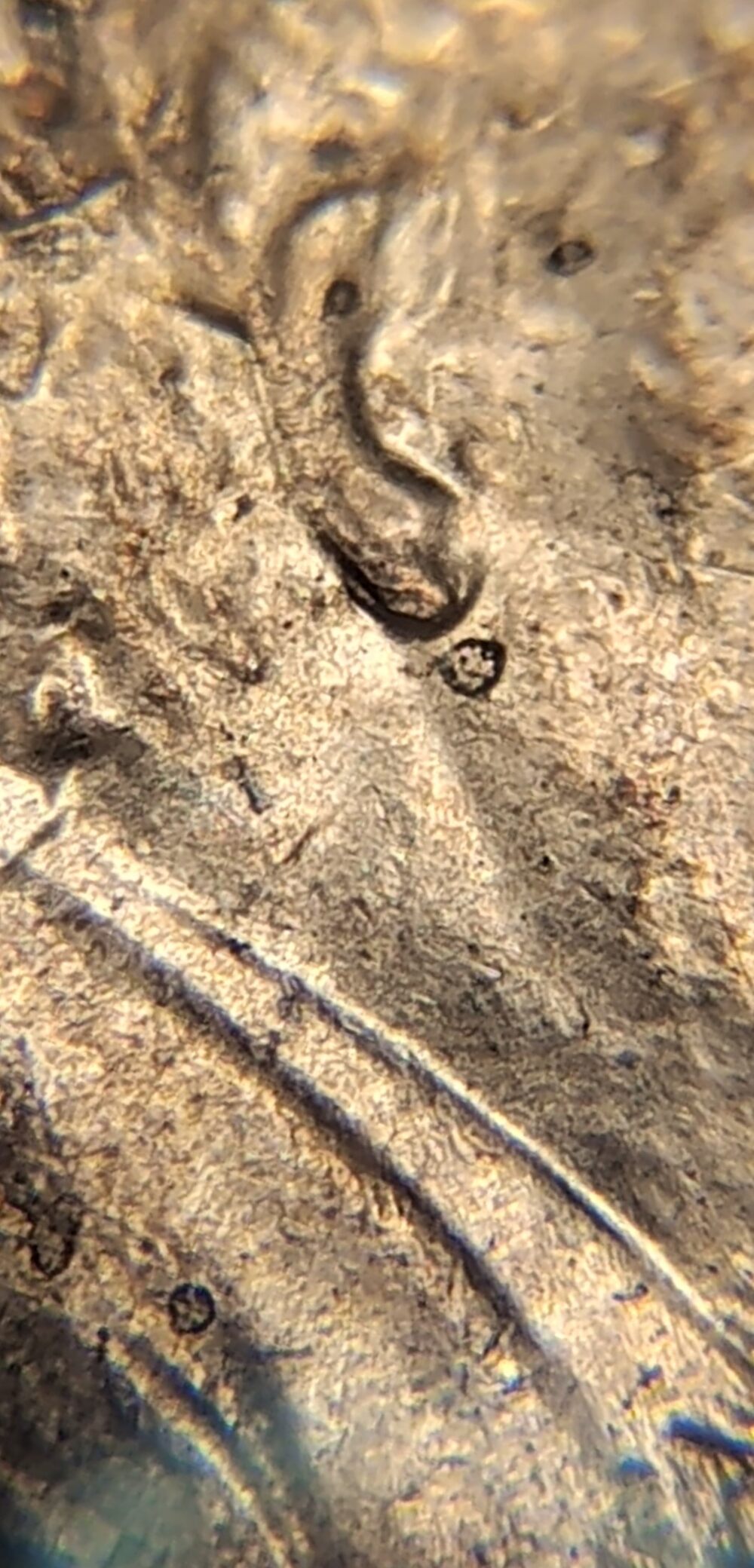 2021-D-Lincoln-Cent-Doubled-Work-Hub