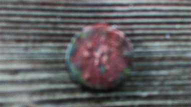 My-Roman-Coin?-Please-Help?