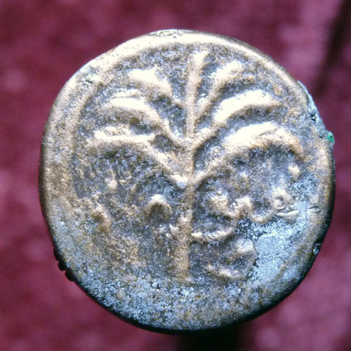 A-Couple-Of-Recent-Roman-Purchases