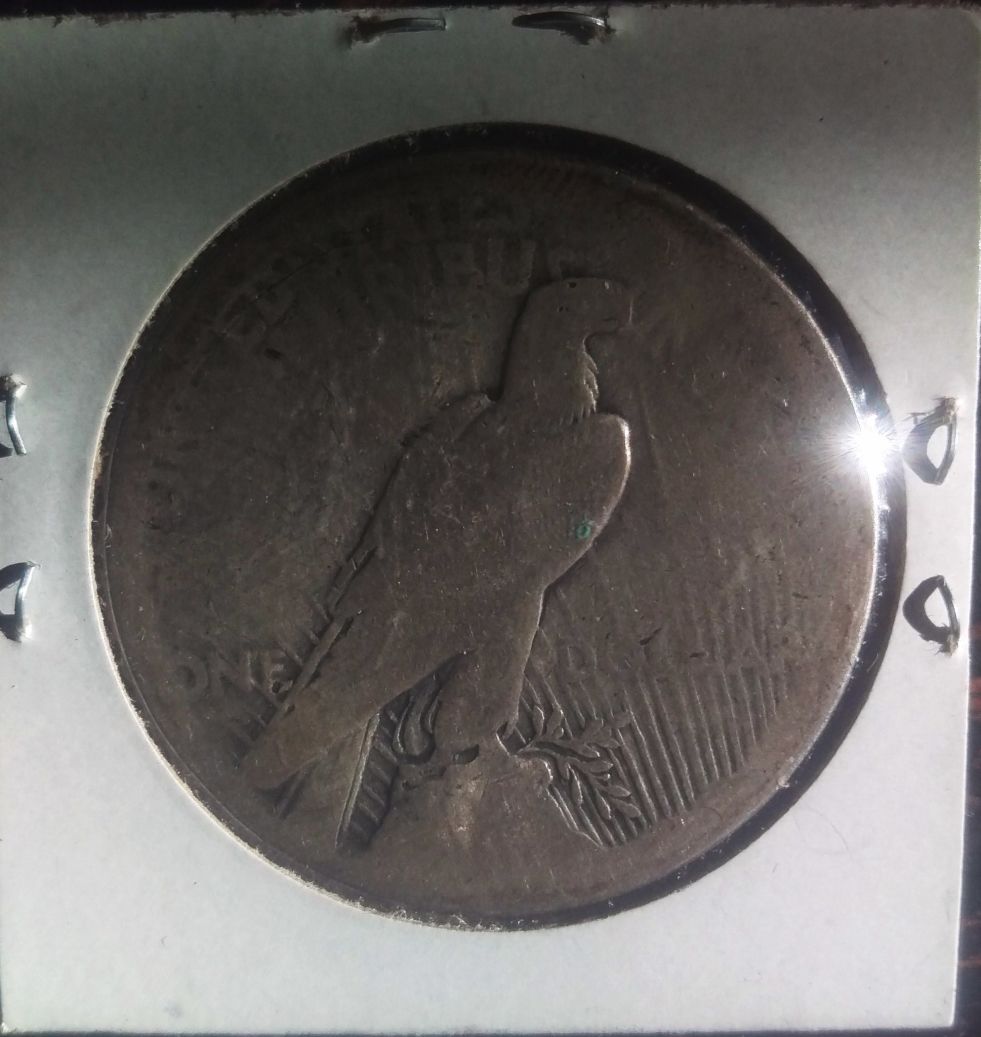 1921-Peace-Dollar--Thoughts?-Grade?