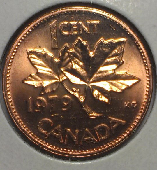 Canadian-Roll-Hunting