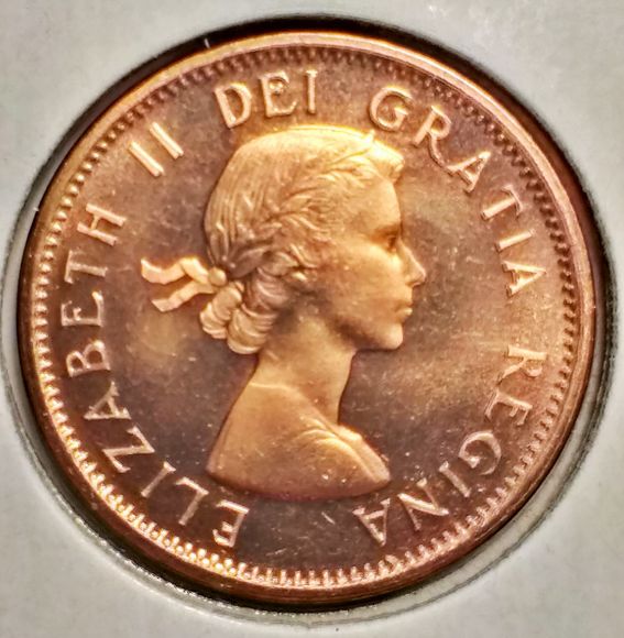 Went-To-My-LCS--And-Bought-These.