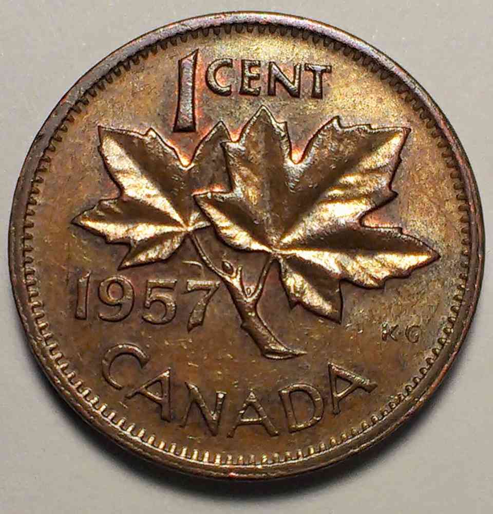 Canadian-Roll-Hunting