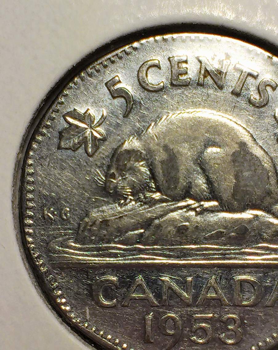 1953-SF-Far-Leaf-Nickels