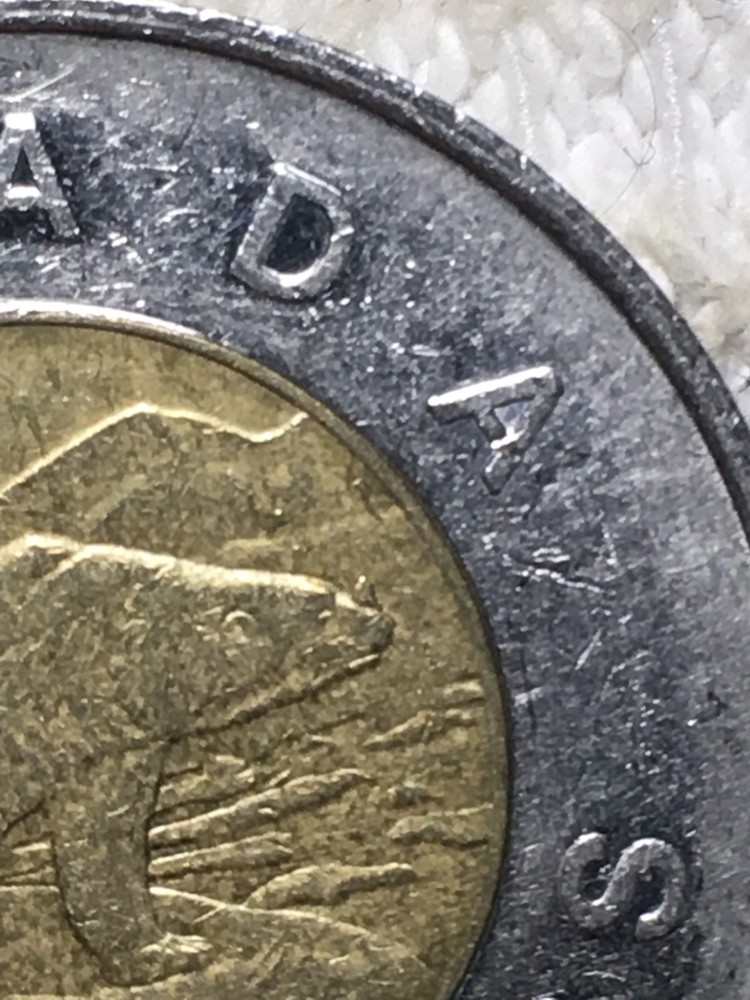 1996-Toonie-With-Horn