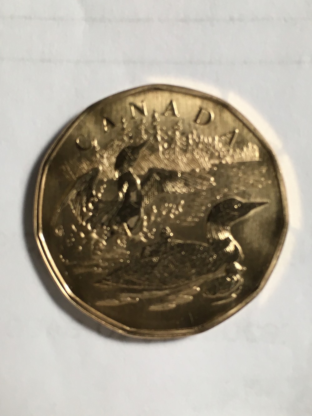 Post-Your-Most-Recent-Canadian-Coin-Purchases!