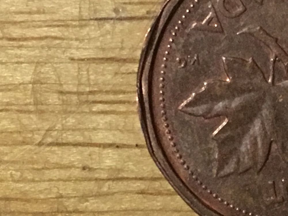 Some-Interesting-Finds-From-Five-Bags-Of-Pennies.