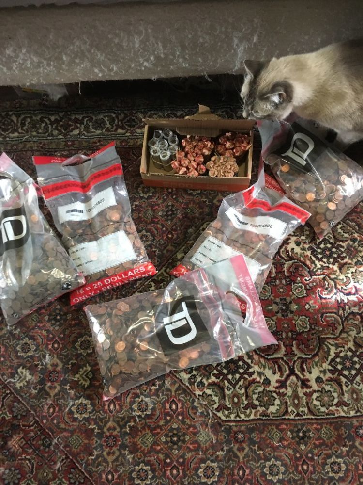 Some-Interesting-Finds-From-Five-Bags-Of-Pennies.